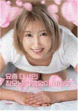 蔷薇少女动画资讯